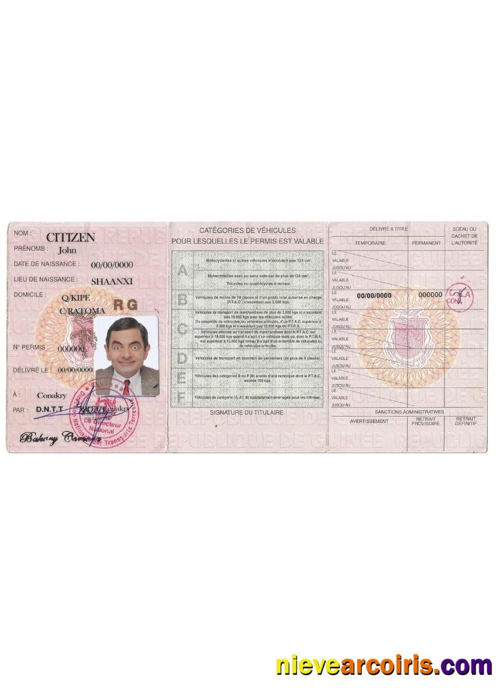 Guinea driving license